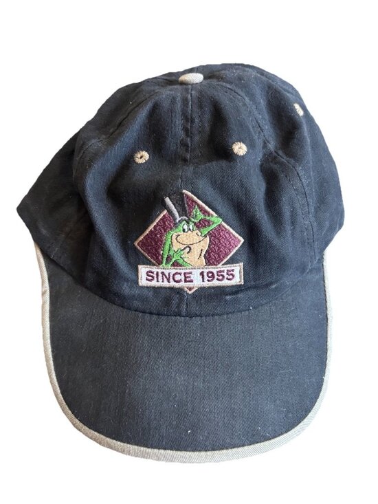 Warner Bros. Interactive Entertainment Other - Looney Tunes Wile E Coyote Acme Hat Since 1955 Black Snapback Frog